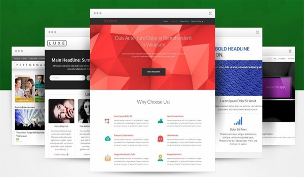 Swell Expo Web Soltions Theming Integrations